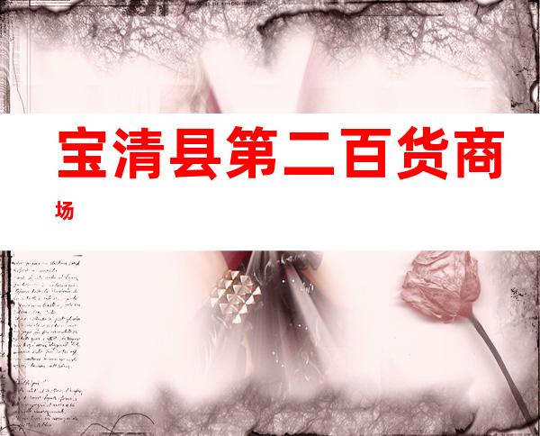 宝清县第二百货商场